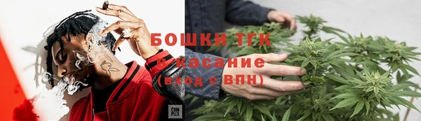 молекула духа Абинск