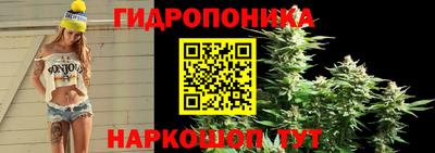 ALPHA PVP Ростов-на-Дону
