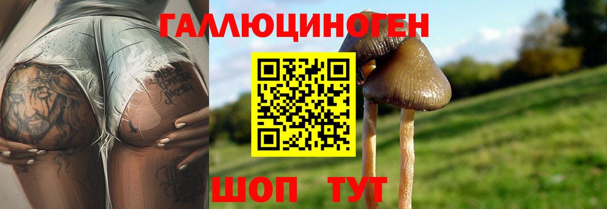 Галлюциногенные грибы ЛСД Алатырь
